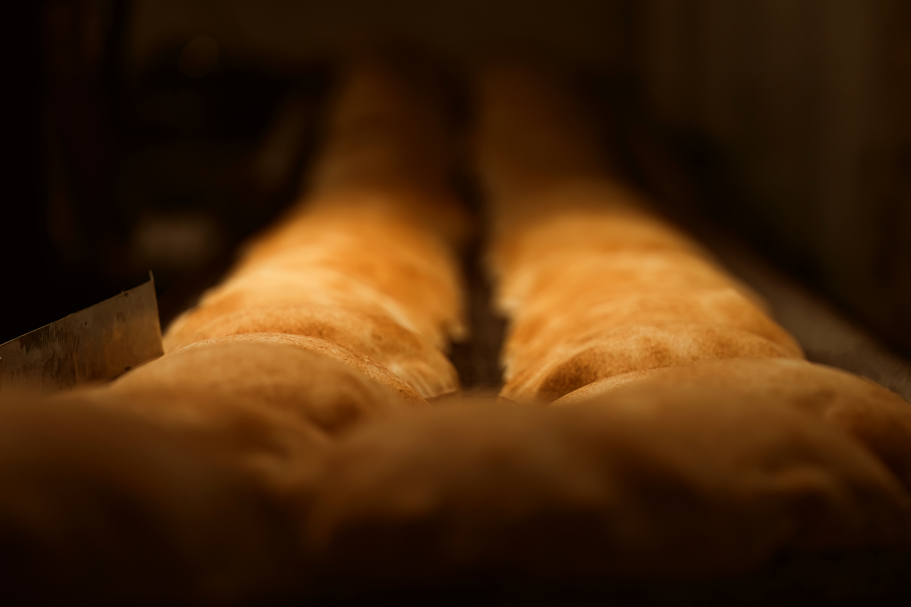 Arabic Bread Large